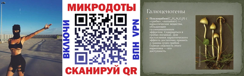 Галлюциногенные грибы Cubensis  Сальск 