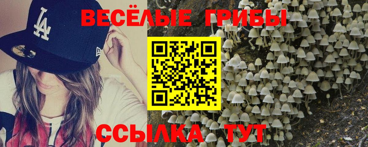 Псилоцибиновые грибы прущие грибы  Вход с VPN  Сальск 