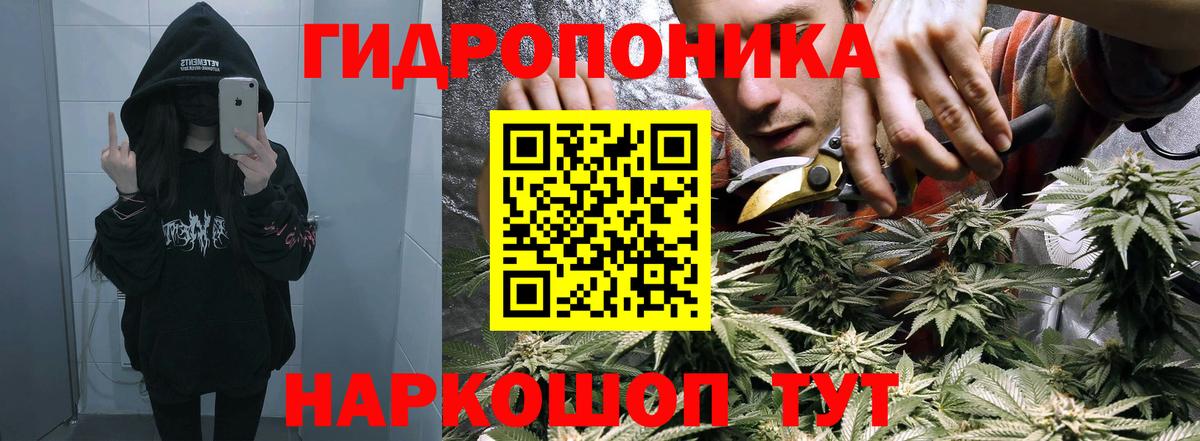 Cocaine  Вход с VPN  Меф МЯУ МЯУ   LSD-25  Конопля  Сальск  Гашиш 
