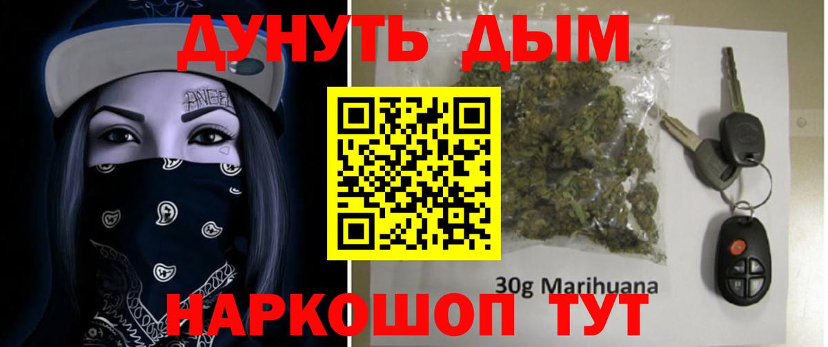 Бошки Шишки план Сальск